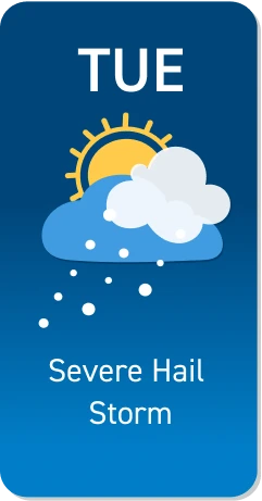 Severe Hail Storm