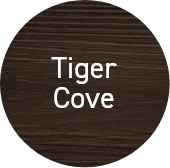 Tiger Cover