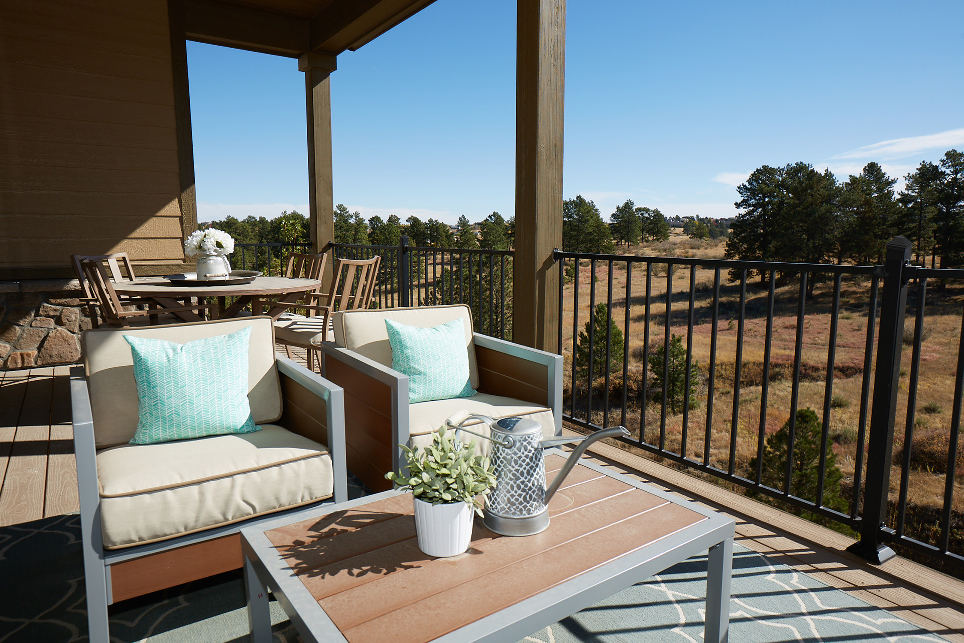 Back patio with outdoor furniture surrounded by metal railings.