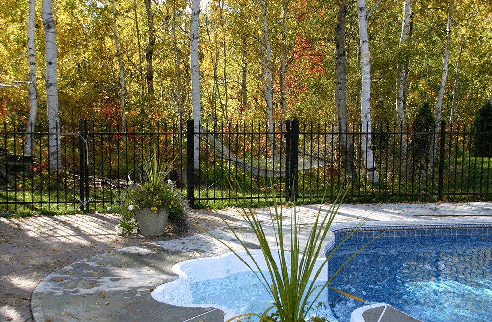 Aluminum pool fence beside backyard pool surrounded by trees and hammock.