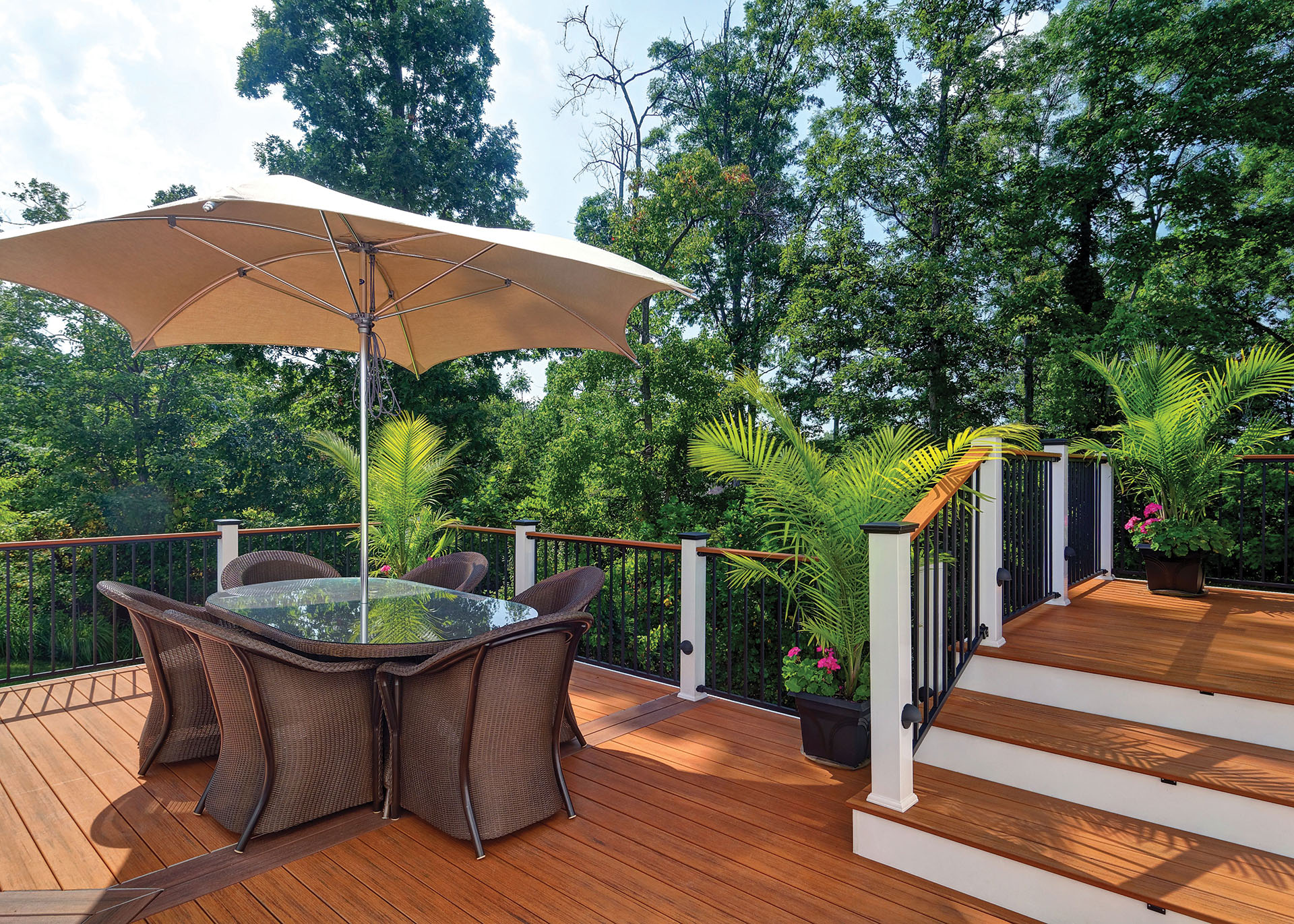 Multilevel deck overlooking the woods