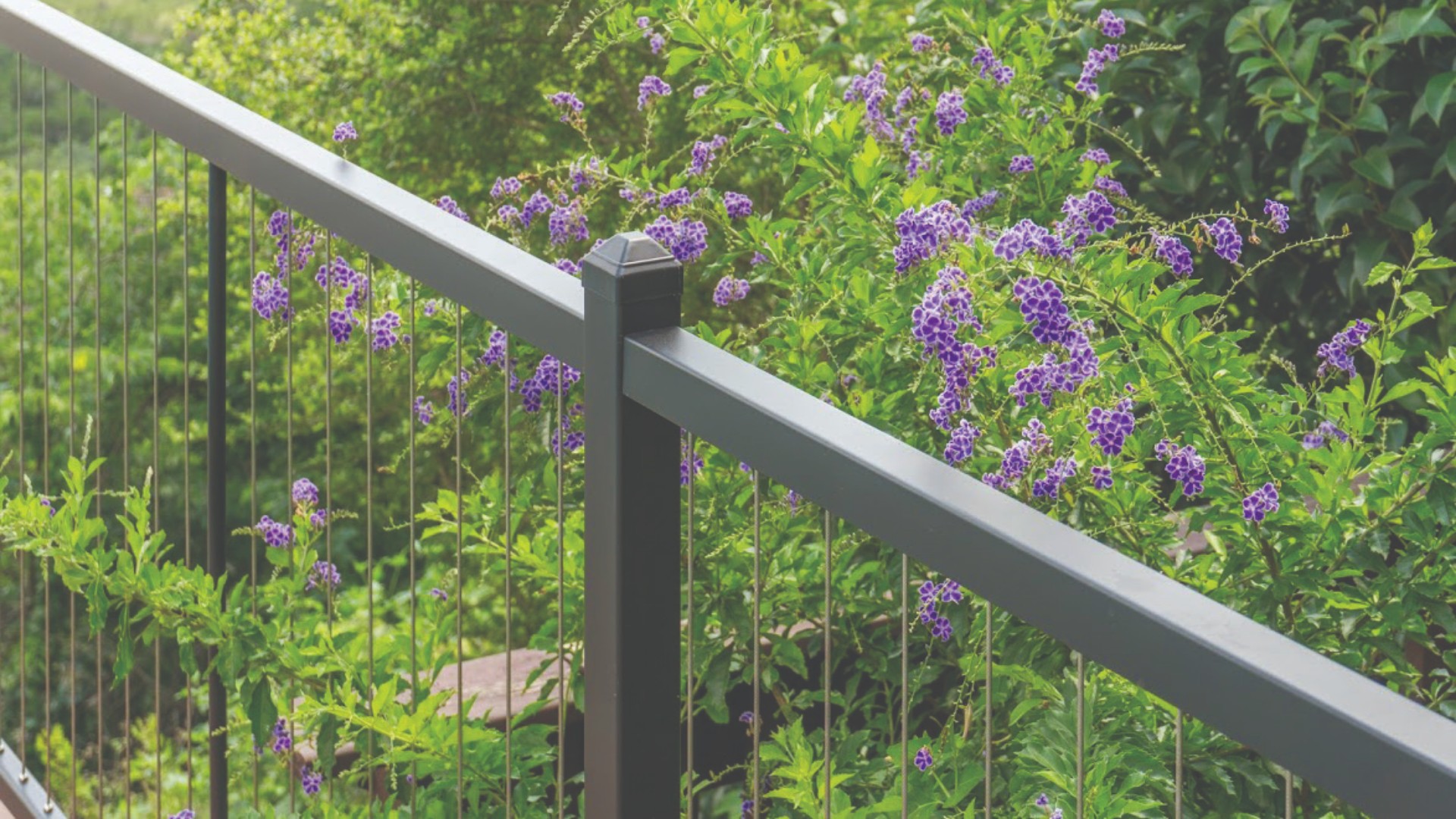 Close-up of a modern cable railing with vibrant green and purple plants.